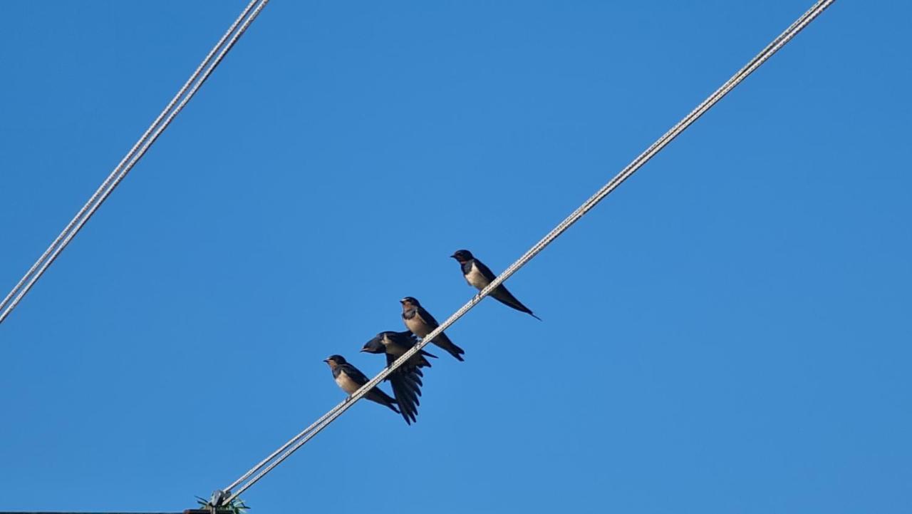 Minhen Lägenhet Muntić Exteriör bild
